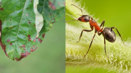 ��� ��������� ���� � ��������� ������� ������� ��� �� ��������