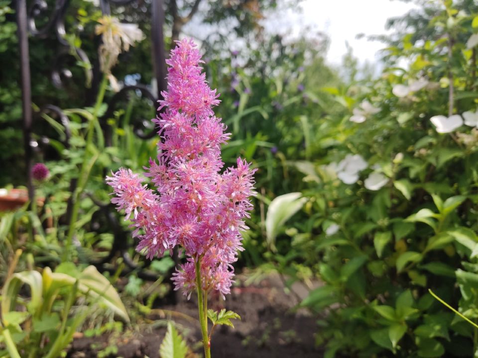 ��� ������� ��������� �������: ������� ������ �������