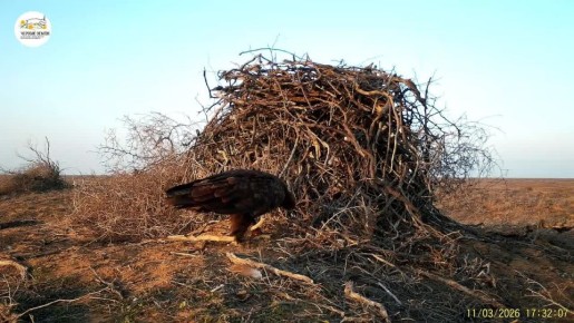 Приоткрывая заповедные двери…