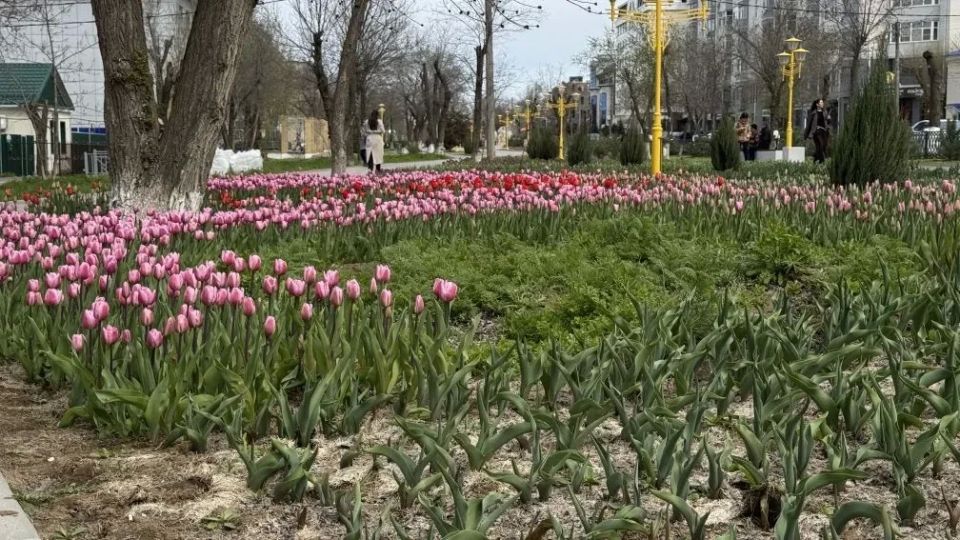 ������ ����!. ������� 14 ������, �������, �� ������������ ��� ������ �� ���� ����