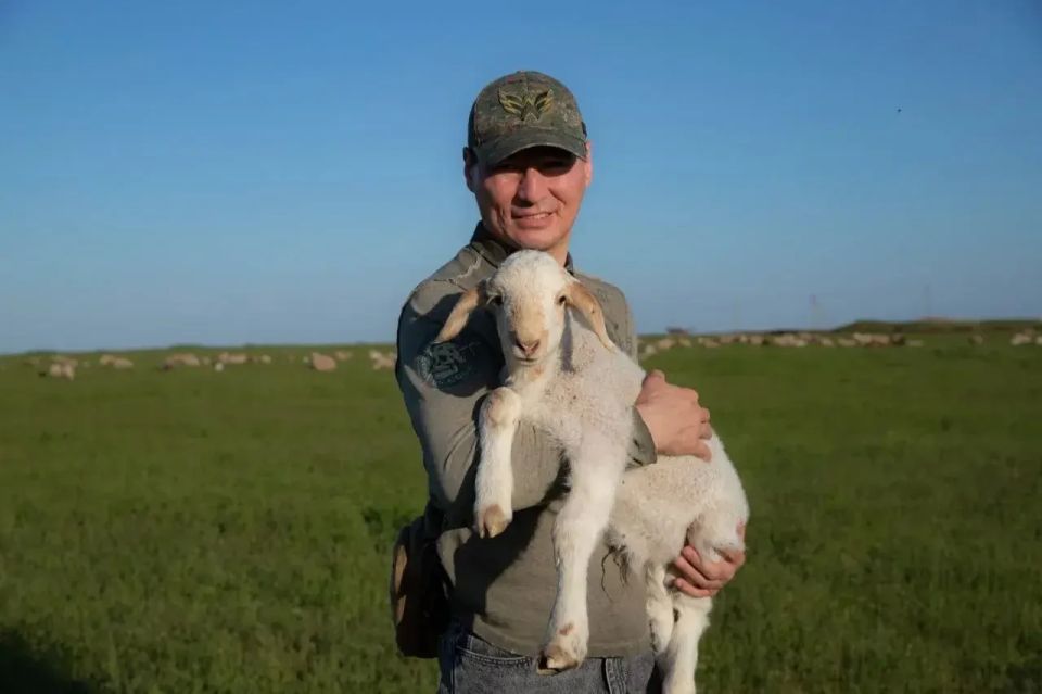 ���� �������: � �������� �������� ���������� ��������