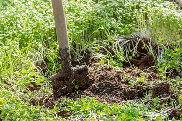 ��� ����������� ��������� ����� ������� ����� ����� �����