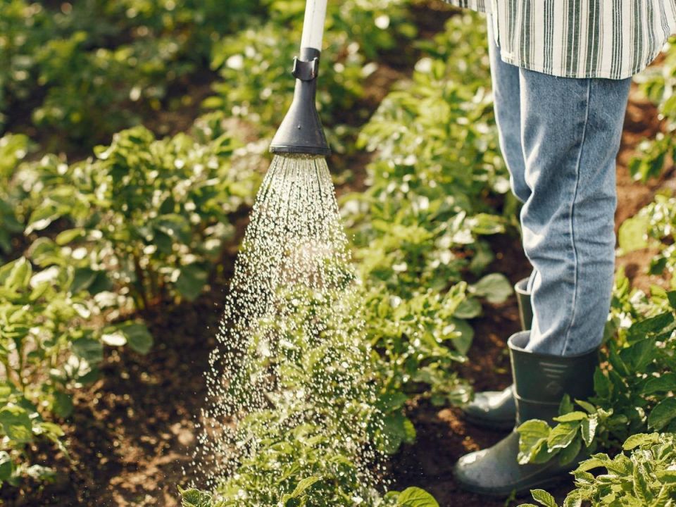 �������� ��������: ���������� ������ � ������ � ����