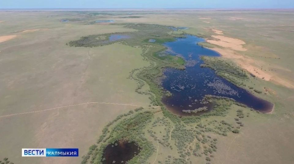 ������� � ���� ������������� ������