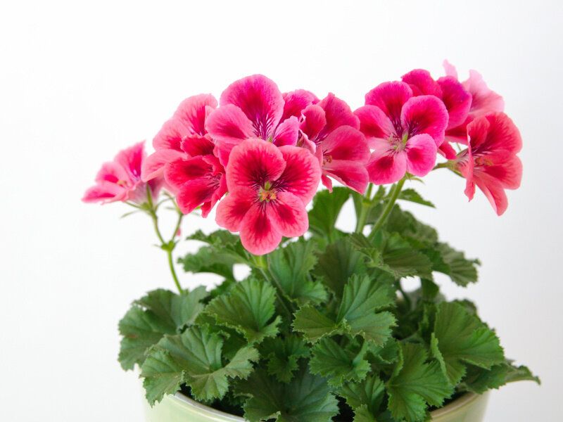 ������: ��� ������� �������� ���� ������� � �����������