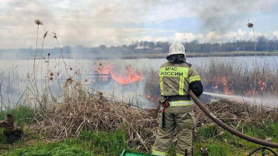 ���������� ��� ������ ������������� ������� ����� � ��������������� ������