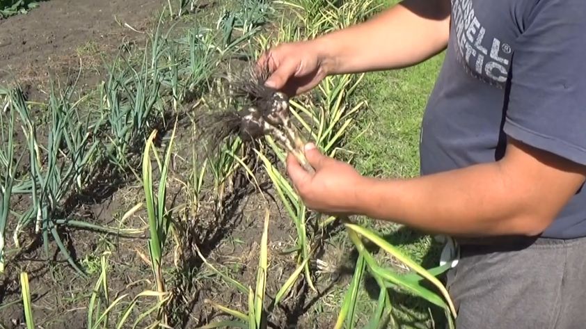 ������� ������ ������� ��� ������, � ������� ��������