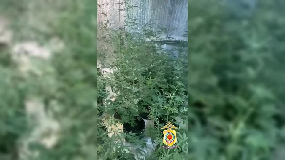 � �������� ���������� ������� ������� ������ ������ �����-���� � ��������������� �������