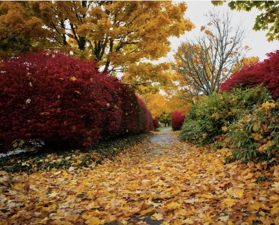 ������� ��� ���������� ��������: ����� �������� ������� ����� ������� �������