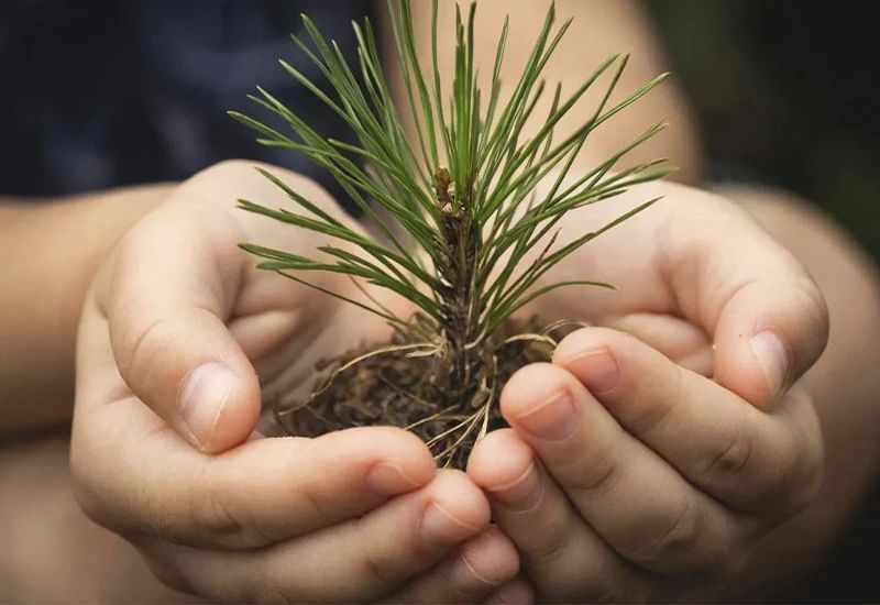 � ������ ����� ��������� ������� ����� ��� ���������� ������