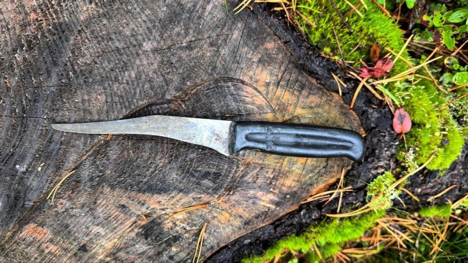 ��������� ���������: ��� ������� ���� ������ ������ � ���