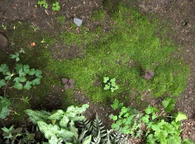 ��� � ����: ���� ��� ���� ��� ������ �������?