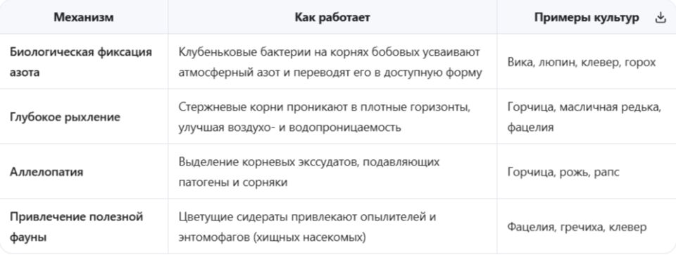 ��� ��������� ������� �������� ��� �����: ������ ��� ����������� 2026