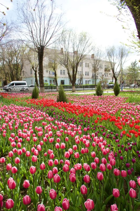 ���, ��� �� ��. ��� � ����� ����������� ������, ������� ����������� ������� ������� ����������� � ���������� ���������� ������������ ���������� ����������� ��������, ����� �� ����� ������� ������� ���� ��� ����� ���...