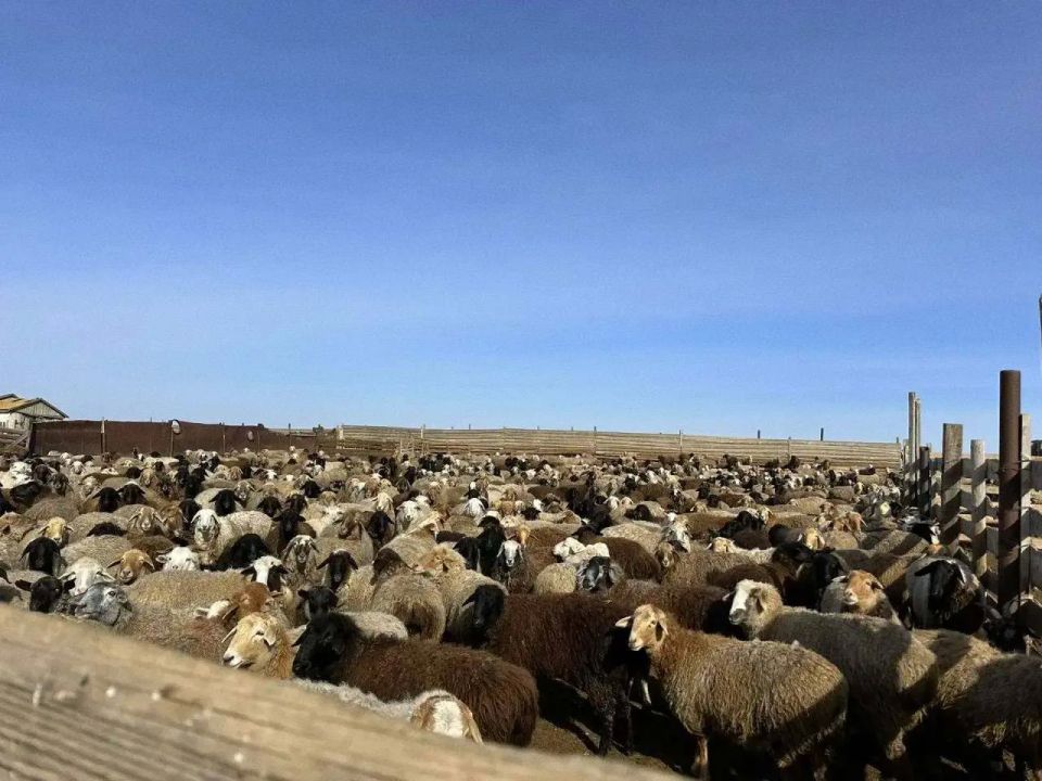 � �������� ������� ��������� ���������������� ���������������� � ������������ �����������-����������� ���������