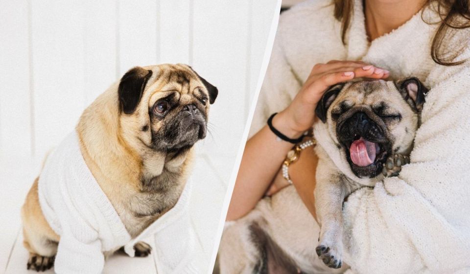 ������ ������� ���������� ������ � ������ ����: ������ ����������