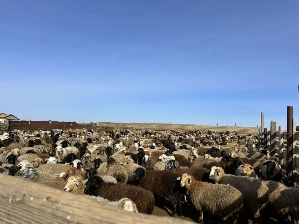 ������������ ���������������� ������ ��������� ��������� ���������������� ���������������� � ������������ ���