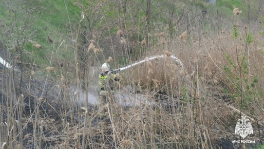 � ������ �������� ����� � 8 �����������