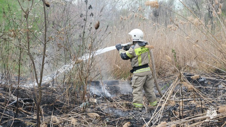 ���������� ��� ������ ������������� ����� � ������