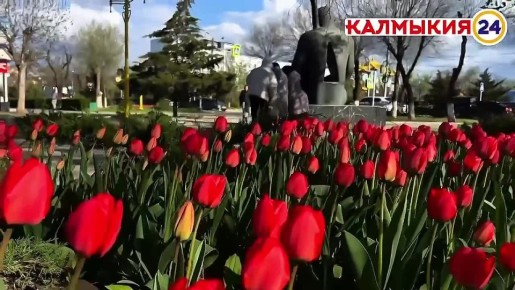 ������ ���������� � ���������