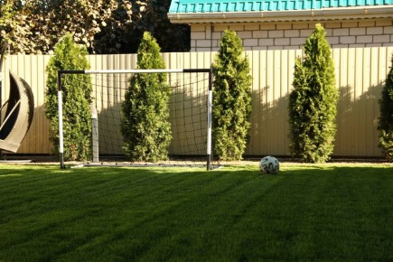 ��� ������� ������� ����������: ��������� ��� ���������� ��� ������ �������