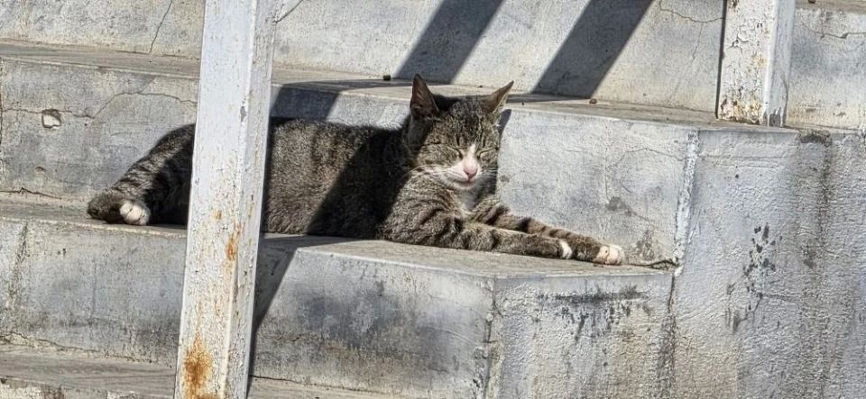 ������ ����!. ������� 18 ������, �������, �� ������������ ��� ������ �� ���� ����