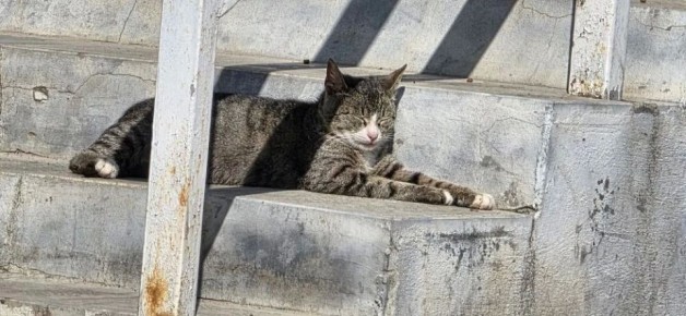 ������ ����!. ������� 18 ������, �������, �� ������������ ��� ������ �� ���� ����