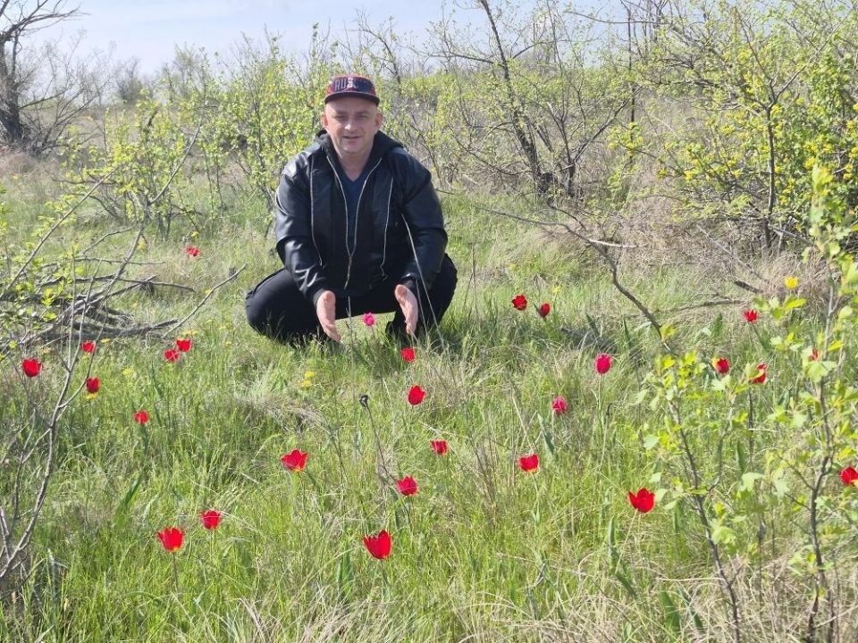 ������ �������: � ���� �����, ������!. � ��� ����� ������ �������, ����� ������ ����, ���������� ��������, �������� � ������� �������! ������� �������� ����� ��� ������ �������, ����, �������, ������, ����������������...