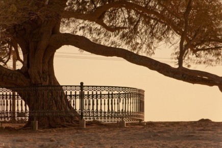 ������ �����: ��� ���� �������� ������������ �������