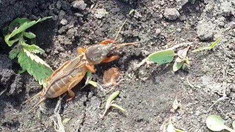 ������� ������ ������: ��� ���������� ���������� � ��������� �� ����� �������