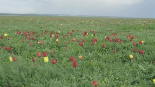 ���� �������: ������� � ���� �����. ��� ��� ����� ����� ���� �