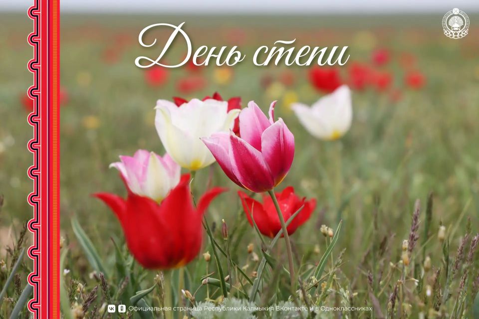 ������� � �������� ����������� ���� �����, ������� ���������� ��� �� �������� ������� � ������� ������� ����!