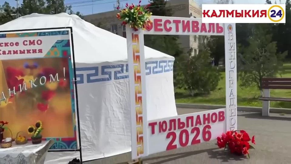 ������� ��������� ��������� ������� � ��������������, ����������������, ������������, ���������������, ����������, ���������������, �����������, ����������� �������