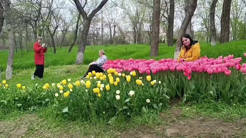 � ����� ������� ������ ������� ������� ������� ���� �������� ������