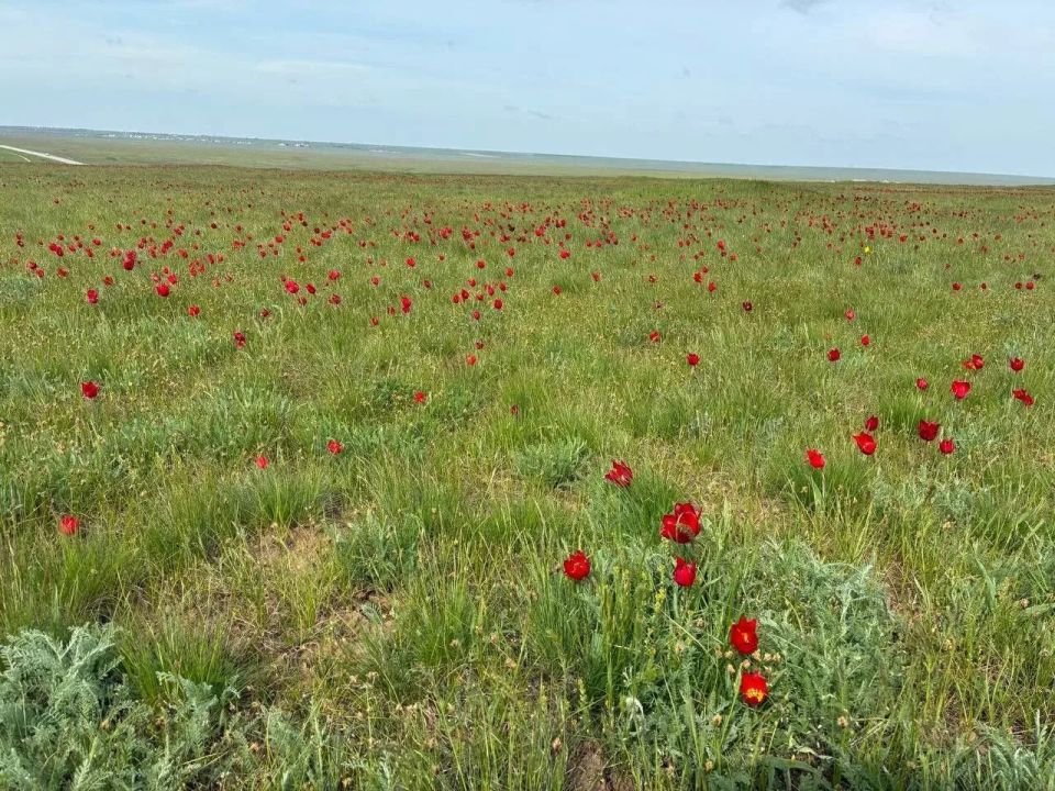 ������ ����!. ������� 19 ������, �����������, �� ������������ ��� ������ �� ���� ����