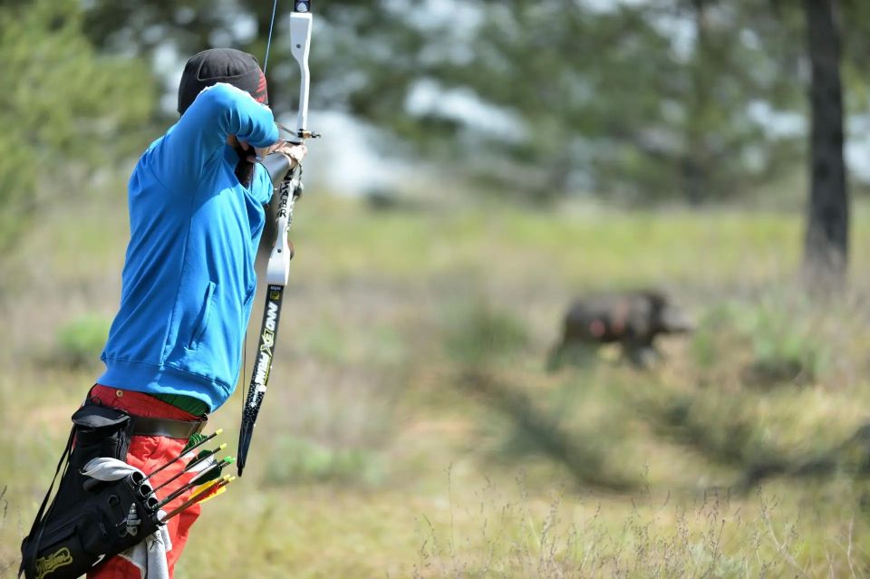 ������ ���������� ������� ����� ����� ������ �� 3� �������� �� ���� ���������