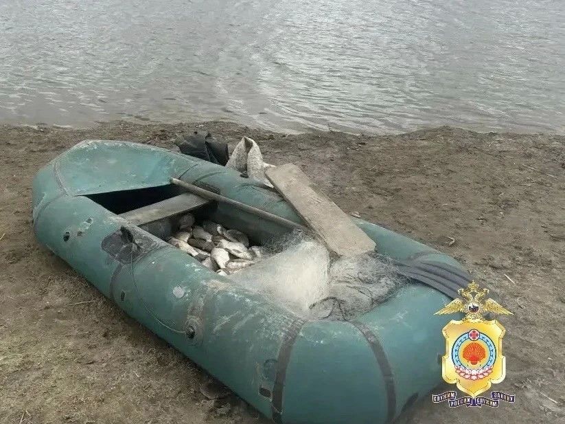 � ���������� ������ ��������� �������, ��������� ���� �����