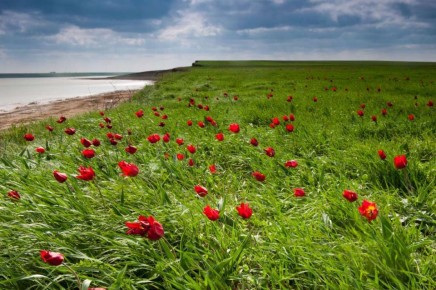 � ������������ ������������������� ������, �������� � ������ ���������� ���������� ���������������� � �������� ������, �������� ������� ������������ ����������� �������