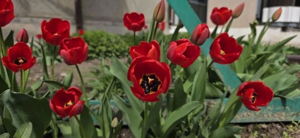 ������ ����!. ������� 20 ������, �����������, �� ������������ ��� ������ �� ���� ����