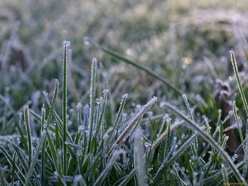 � �������� 21 ������ ��������� ���������