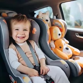 �������� ����������� �������� ���������������� ����������� ���������� �������