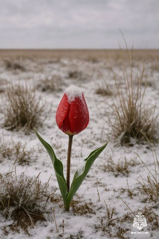 ���������� ��������������. �� ������ ����������� ���ѻ, ����� � ����� 22-24 ������ ������� �� ���������� ��������� ��������� � ������� � �� ����������� ����� �� -1,0