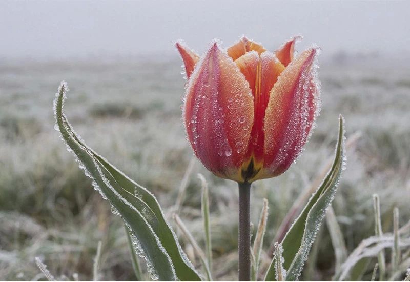 � �������� ����������� ������ ��������� ����������� �� ��������� ��������