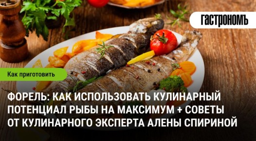 ������: ���������� ���������� ��������� ���� ������������ ����