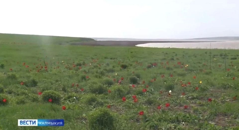 ������� � ������������� ���� �����