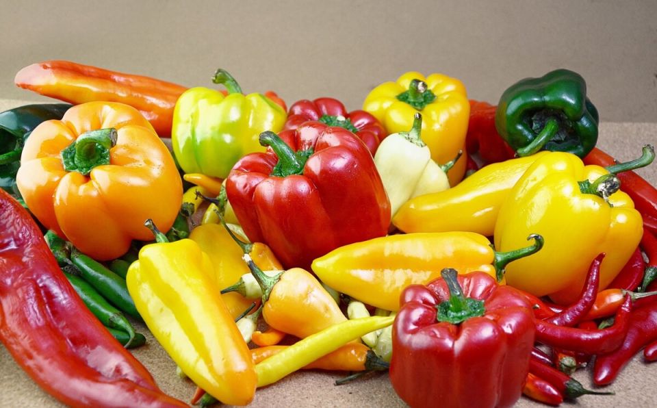 ��� ��������� �����: ������ �� ����� ��� ������������� ������