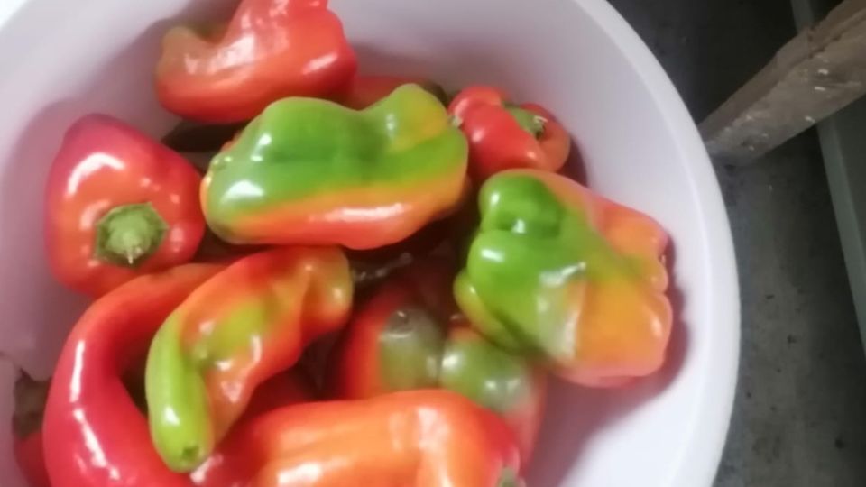 ������������ � ����������, � ����� ������� ����� ����������� �������