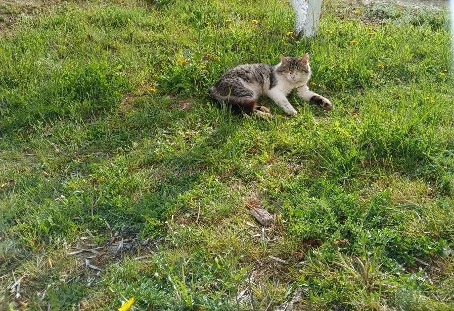 ������ ����!. ������� 23 ������, �������, �� ������������ ��� ������ �� ���� ����