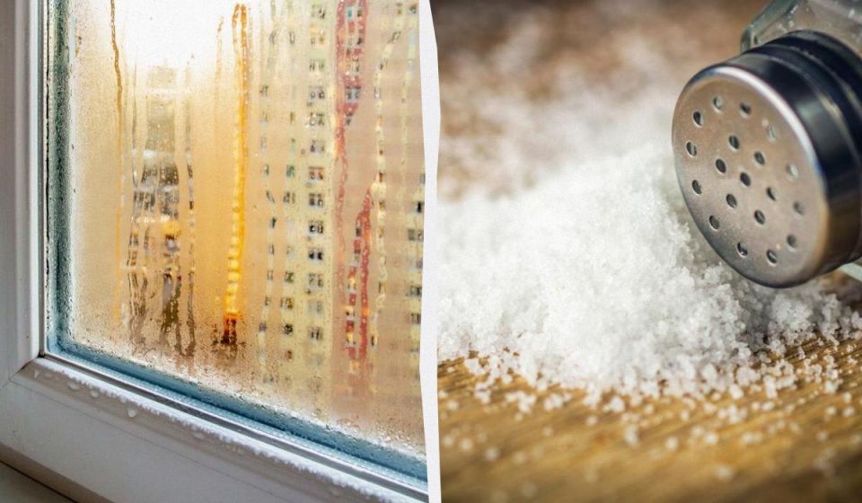 ��� � ������ � �����: ������������� �� ��� ������� �� ����������?