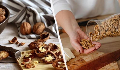 ������� �������� ������� ������: ��� �������� ������ �������� � �����